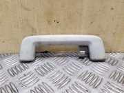 Griff Panoramadach Ford Focus IV (HN)