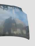 Motorhaube TOYOTA AURIS (_E15_) 1.4 D-4D (NDE150_)