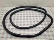 Türgummi rechts vorne Seat Toledo III (5P) 5P0867365D