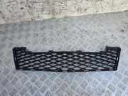 Gitter vorne unten MERCEDES-BENZ A (W169) A 180 CDI (169.007, 169.307) A1698850224