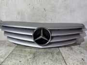 Gitter MERCEDES-BENZ B (W245) B 180 CDI (245.207) A1698800183