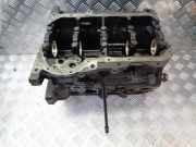 Motorblock VW Passat B5 (3B2) 068103021E