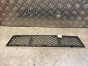 Kühlergrill unten BMW 5er Touring (F11)