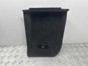 Zierleiste BMW X5 (E70) 6974237