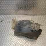 Verkleidung Innenkotflügel rechts hinten Mercedes-Benz R-Klasse (W251) A2518841822