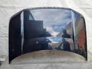 Motorhaube LAND ROVER FREELANDER 2 (L359) 2.2 TD4 4x4