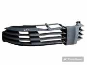 Gitter vorne unten VW PASSAT B5 (3B3) 4.0 W8 4motion 3B0853665H