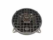 Türlautsprecher hinten links PEUGEOT 207 (WA_, WC_) 1.4 16V