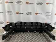 Stoßstangenabdeckung vorne Ford EcoSport () CN158B384AB