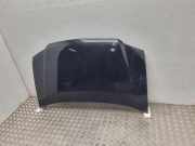 Motorhaube VW TOURAN (1T1, 1T2) 1.9 TDI
