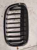 Vorderer oberer Gitter BMW X1 (F48) xDrive 20 i 7383364