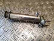 AGR-Kühler RENAULT ESPACE IV (JK0/1_) 3.0 dCi (JK0J, JK0V) 8972292313