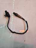Lambdasonde Ford Transit Kasten (FA) AB3A9Y460AA