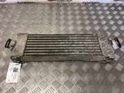 Ladeluftkühler Ford Transit Connect V408 Kasten () 6C119L440AC