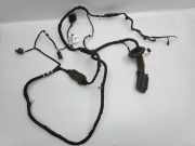 Türverkabelung hinten rechts