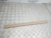 Schwellerinnenverkleidung vorne links