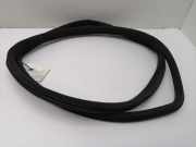 Türdichtung Mercedes-Benz C-Klasse (W203)