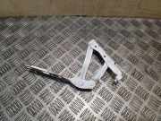 Motorhaubenscharnier links VW Eos (1F) 1Q0823301C