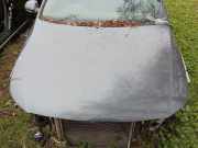Motorhaube VW Passat B7 Alltrack (36, B7)