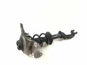 Stoßdämpfer vorne links AUDI A4 (8K2, B8) 2.0 TFSI quattro 8K0413L 8K0412131F