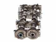 Einlassnockenwelle VW TOUAREG (CR7) 3.0 TDI 4motion 059109024BL