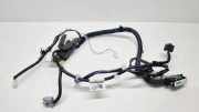Kabel der vorderen linken Tür NISSAN PULSAR Hatchback (C13) 1.2 DIG-T 241253ZL0E