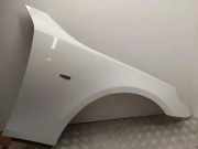 Kotflügel vorne rechts BMW 5 Touring (E61) 535 d