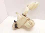 Fensterwaschtank JAGUAR X-TYPE Estate (X400) 2.5 1X4317B613BE 1X4313K175AD