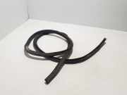 Türdichtung Renault Scenic IV (J9) 908309596R