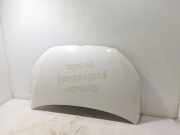 Motorhaube VW CADDY III Variant (2KB, 2KJ, 2CB, 2CJ) 1.6 TDI 1T0823031P