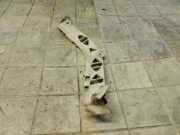 Stoßstangenhalterung hinten links MAZDA 121 I (DA) 1.1