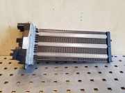 Elektrischer Schulterschulterkühler JAGUAR XF (X250) 2.2 D MF0134100451