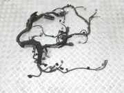 Motor Kabelbaum TOYOTA RAV 4 III (_A3_) 2.0 (ZSA35_) 5779NA1