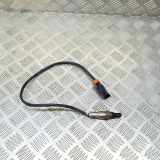 Sauerstoffsensor (Lambdasensor)