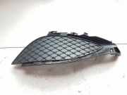 Gitter vorne unten MERCEDES-BENZ A (W176) A 160 CDI / d (176.011) A1768850422