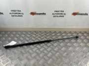 Gasfeder für Motorhaube VW Passat B7 (362) 3C8823359