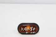 Kotflügelblinker vorne links RENAULT KANGOO (KC0/1_) D 55 1.9 (KC0D) 13910020 7700847333