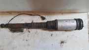 Stoßdämpfer hinten links MERCEDES-BENZ S (W220) S 320 (220.065, 220.165) C086054O5