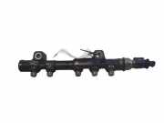 Einspritzleiste Citroen DS5 () 0445214318