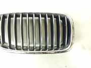 Kühlergrill komplett BMW 5er Touring (F11) 7200728