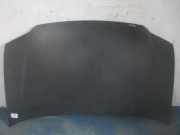 Motorhaube VW Caddy III Kombi (2KB)