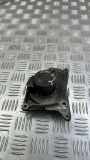 Wasserpumpe Renault Megane IV Schrägheck (B9A) 210105481R