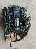 Motor ohne Anbauteile (Benzin) BMW X1 (F48) B46