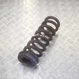 Schraubenfeder hinten links MASERATI QUATTROPORTE VI 3.8 GT S 670009378