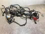 Motor Kabelbaum PEUGEOT PARTNER Furgon 1.6 HDi 9819950380
