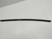 Türverkleidung links hinten Hyundai Veloster (FS)