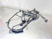 Kennzeichenbeleuchtung OPEL ASTRA J GTC 2.0 BiTurbo CDTI 13251936