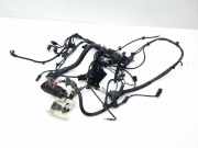 Motor Kabelbaum BMW 1 (F21) 114 i 850789205