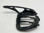 Gitter PORSCHE MACAN (95B) 3.0 GTS 95B807681