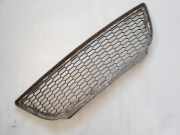 Ziergitter BMW 3er (E90) BMW